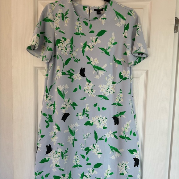 Ann Taylor Dress - Picture 1 of 1
